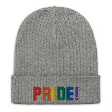 Load image into Gallery viewer, Pride Recycled cuffed beanie
